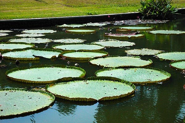 Java Bali 2003 Bogor Java Bali 2003 Bogor